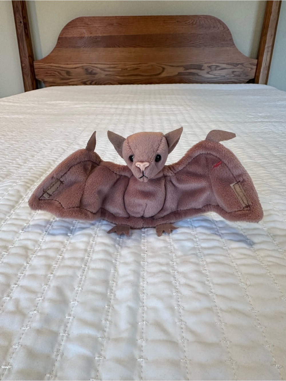 Batty the Bat Beanie Baby 4035